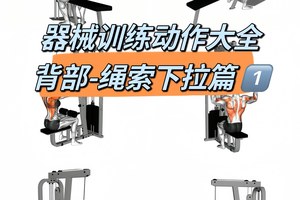  如何利用篮球训练器材进行康复训练：专业指南与实用建议